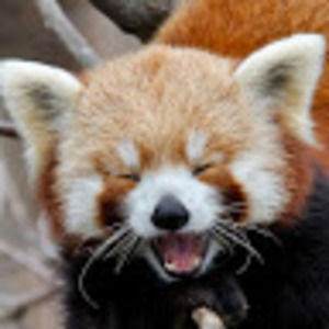 Meet your Posher, Julien